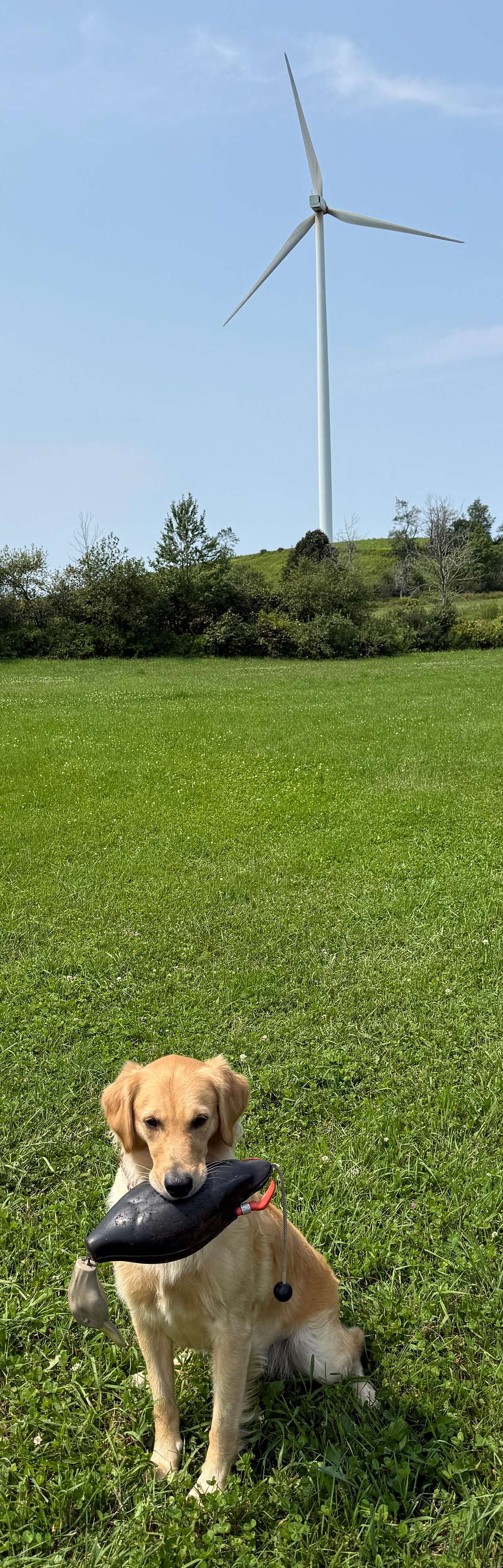Herkimer Area Private Field Camping