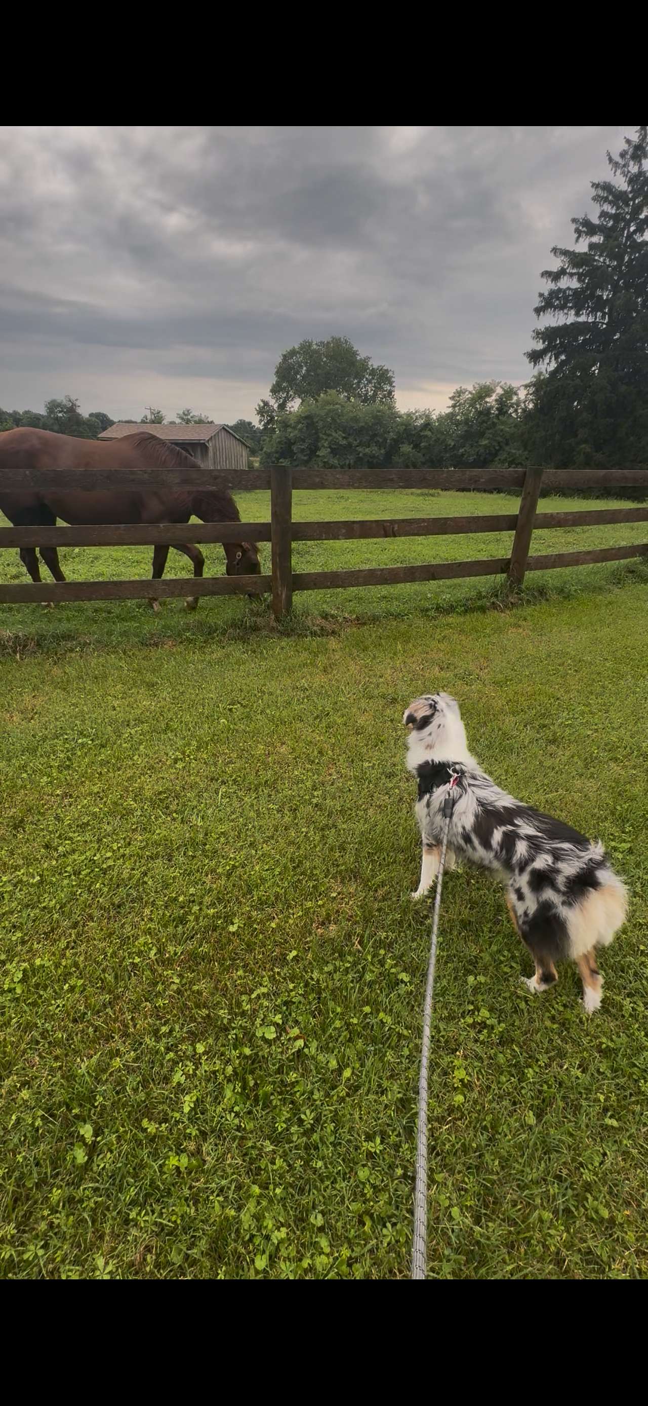 FairHill Horse Farm