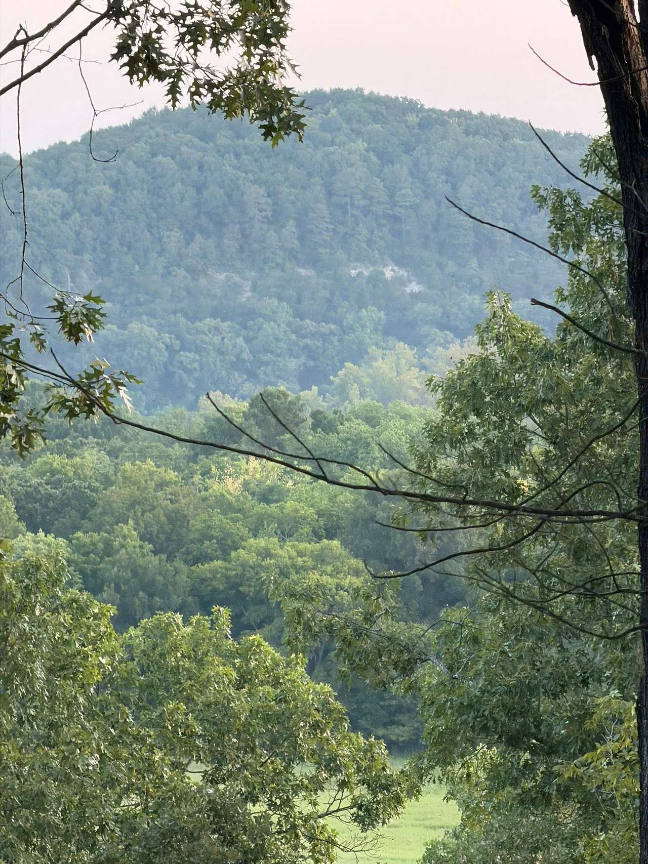 Coyote Holler