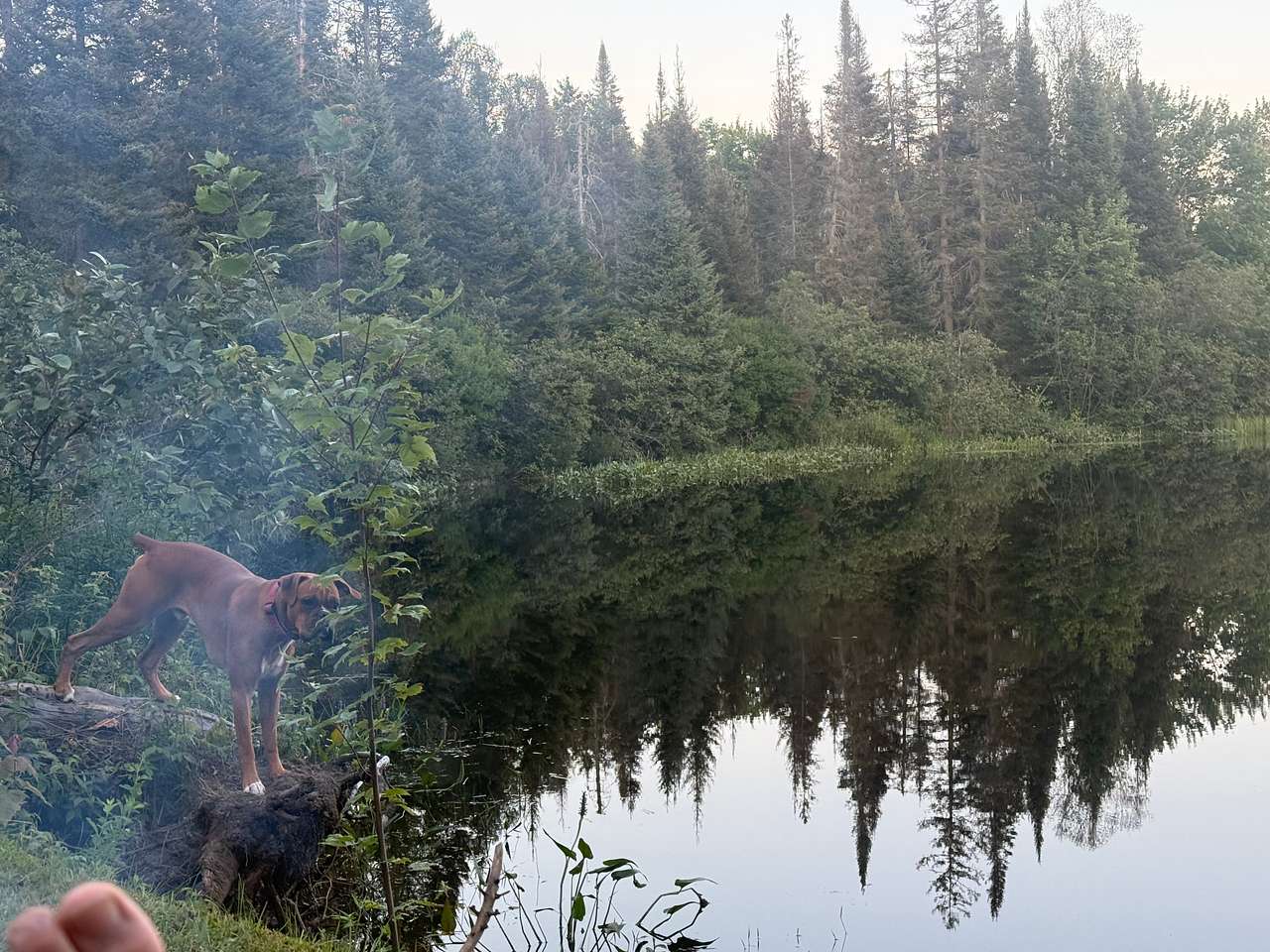 Almost BackCountry Camping