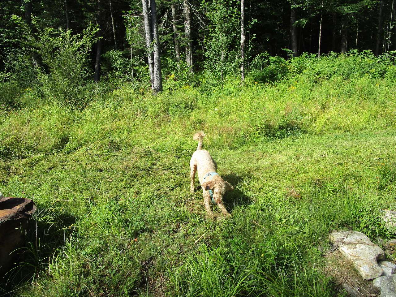 Secluded Stays At Quill Nook Farm