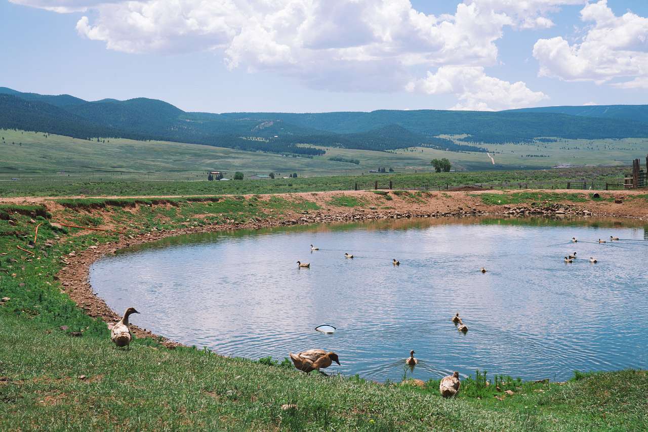Arko Farm