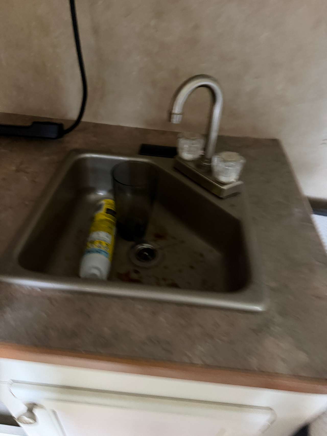 The black mold in the sink
