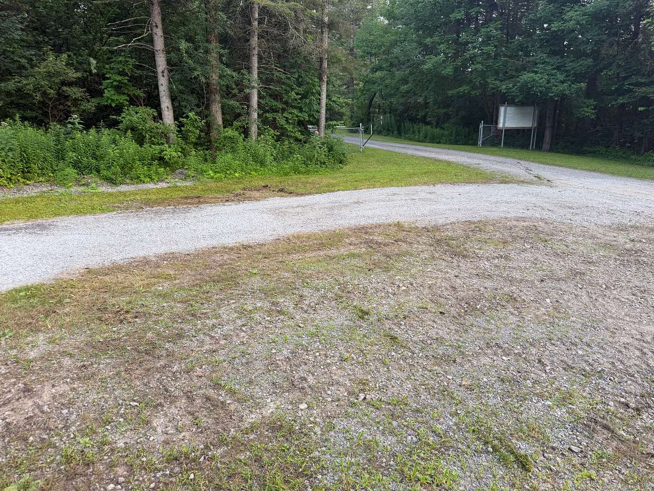 Tug Hill Pines