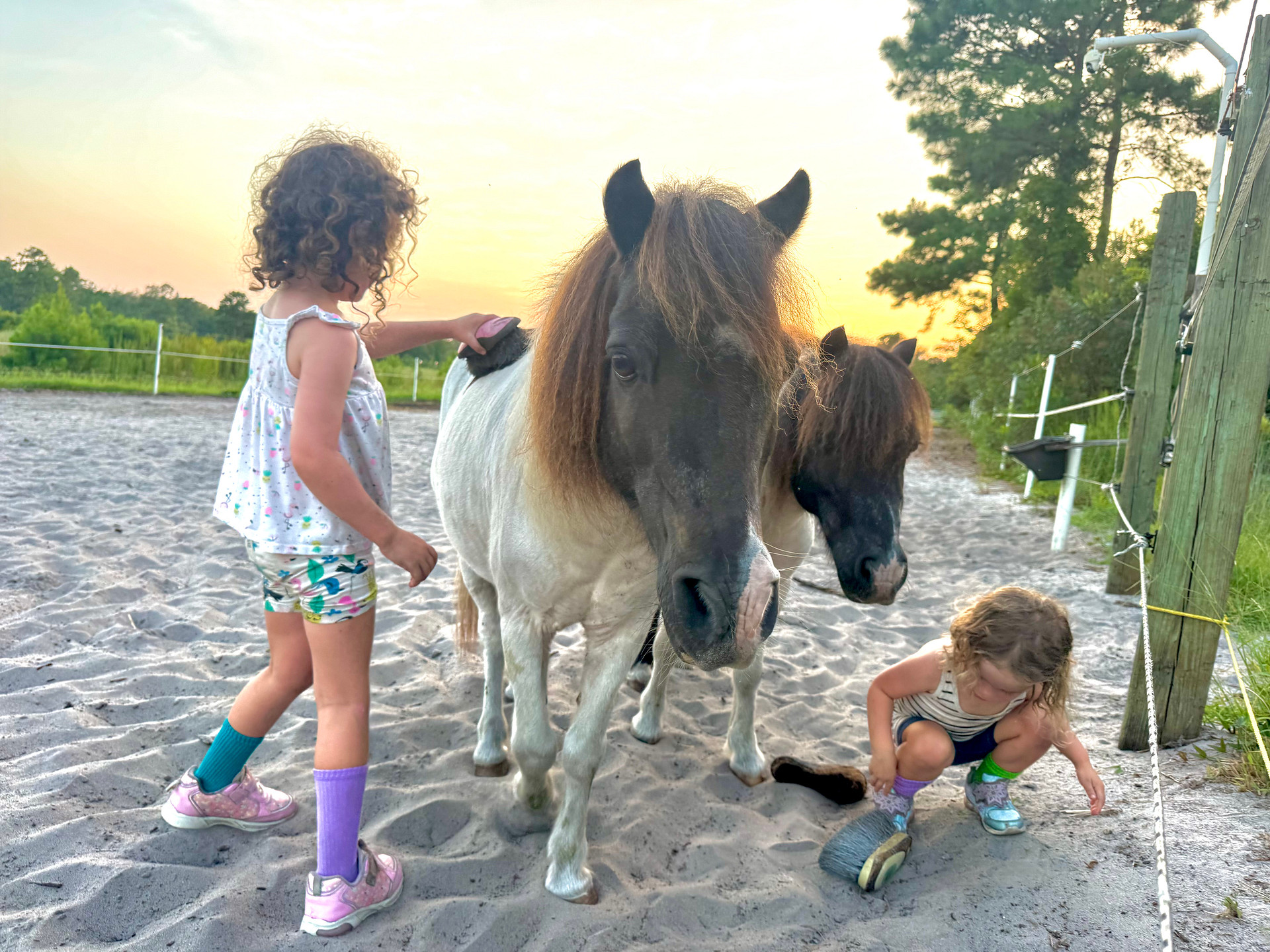 Canter Lakes Farm