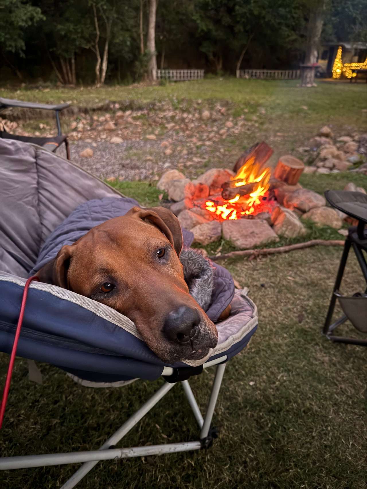 Everything Country Camping Royston