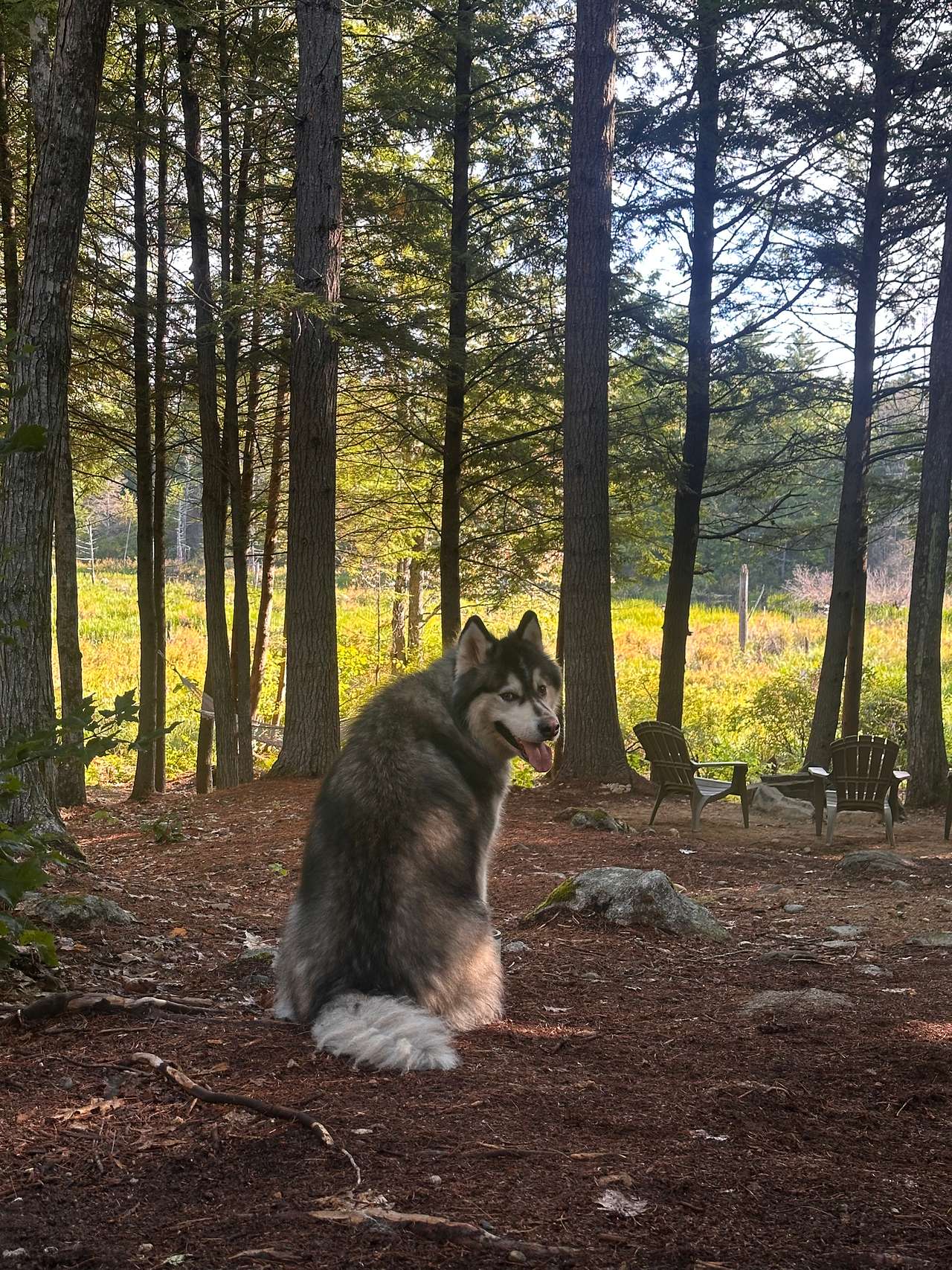 Enjoying the view 