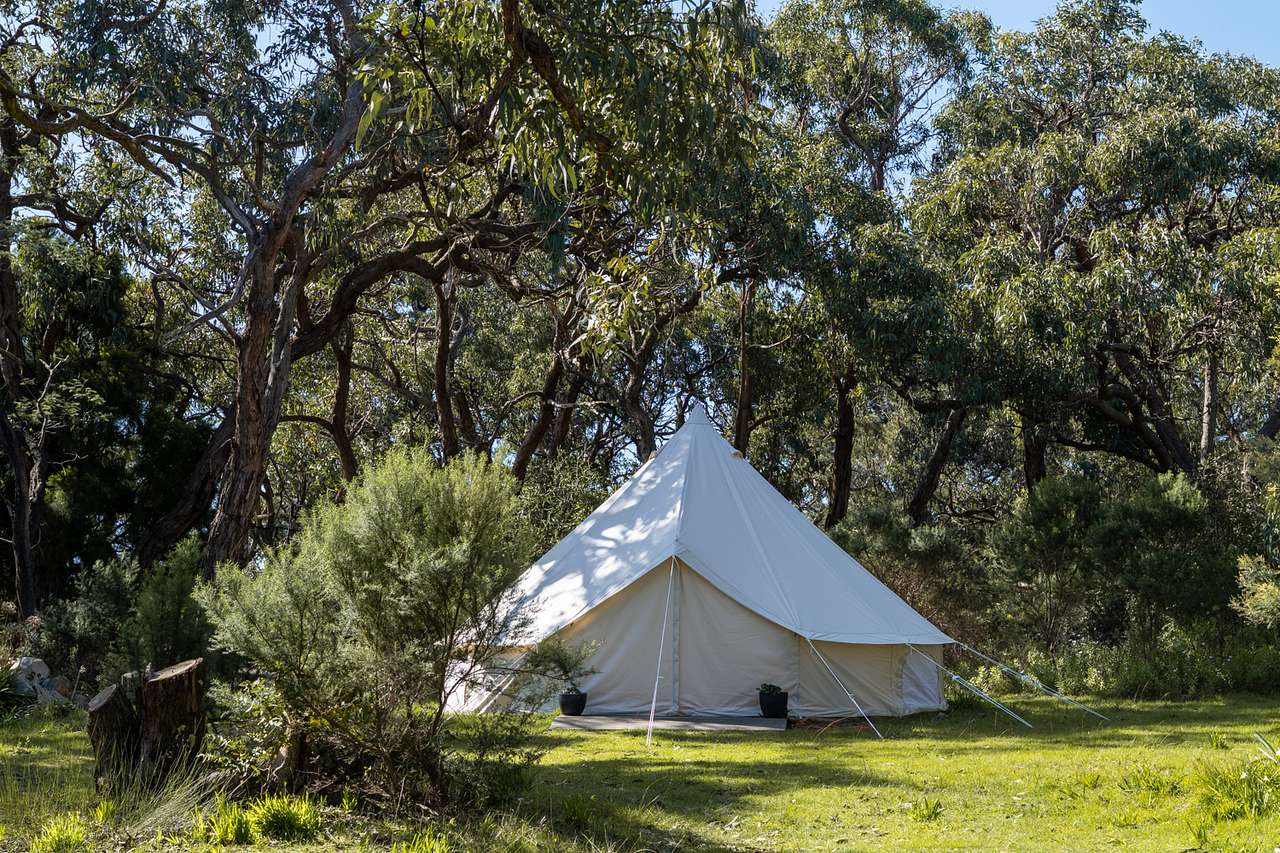 Salt Wood Glamping