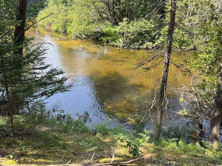 Manistee River Cozy Camper 2