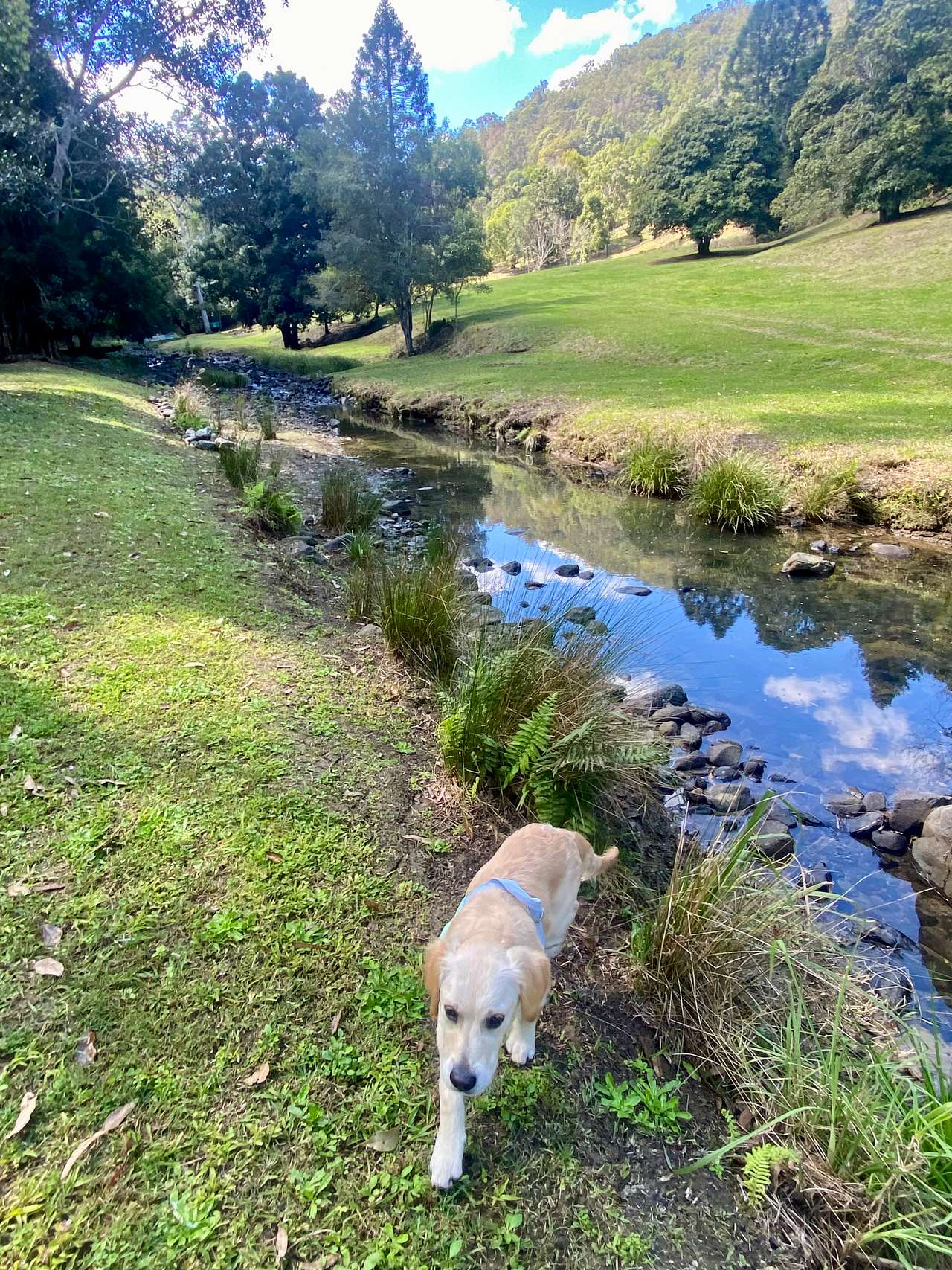 Lacrana by the Creek