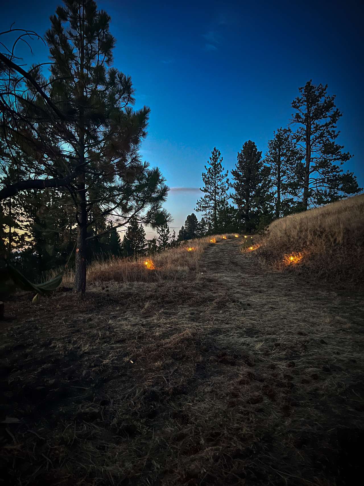 Camp Last Light