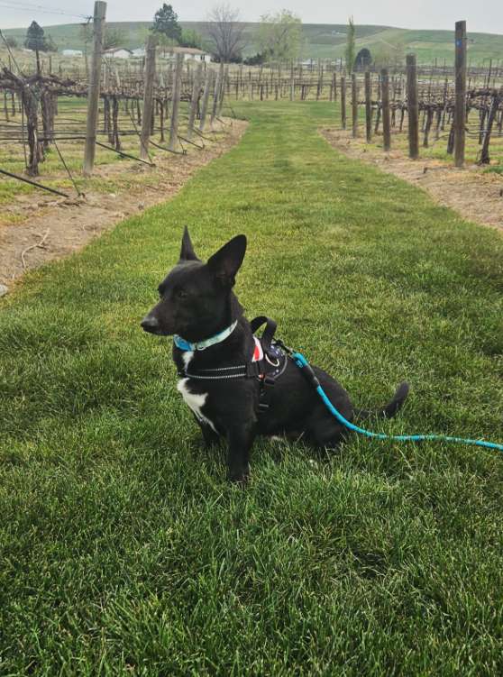 Frichette Winery