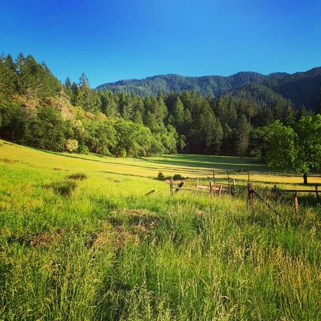 Firelight Ranch