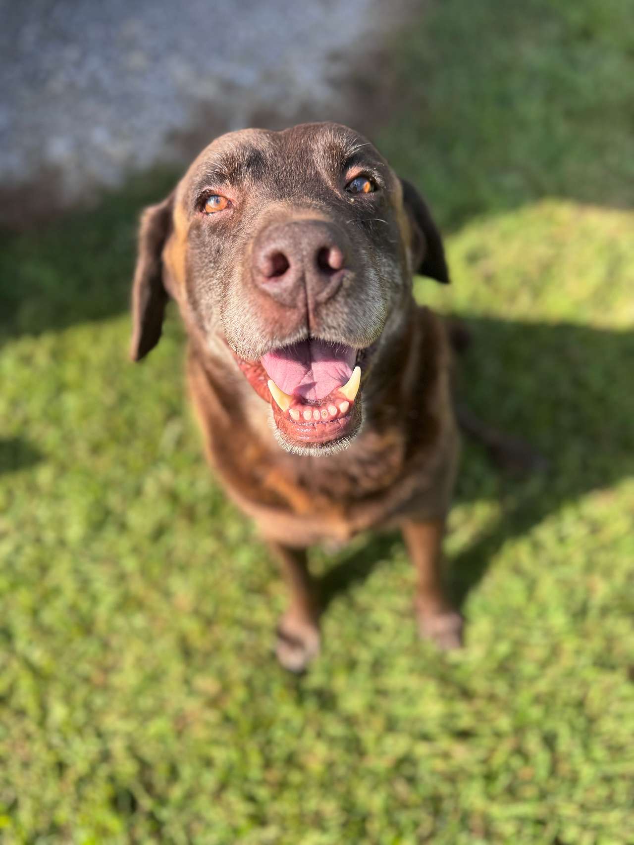Murph