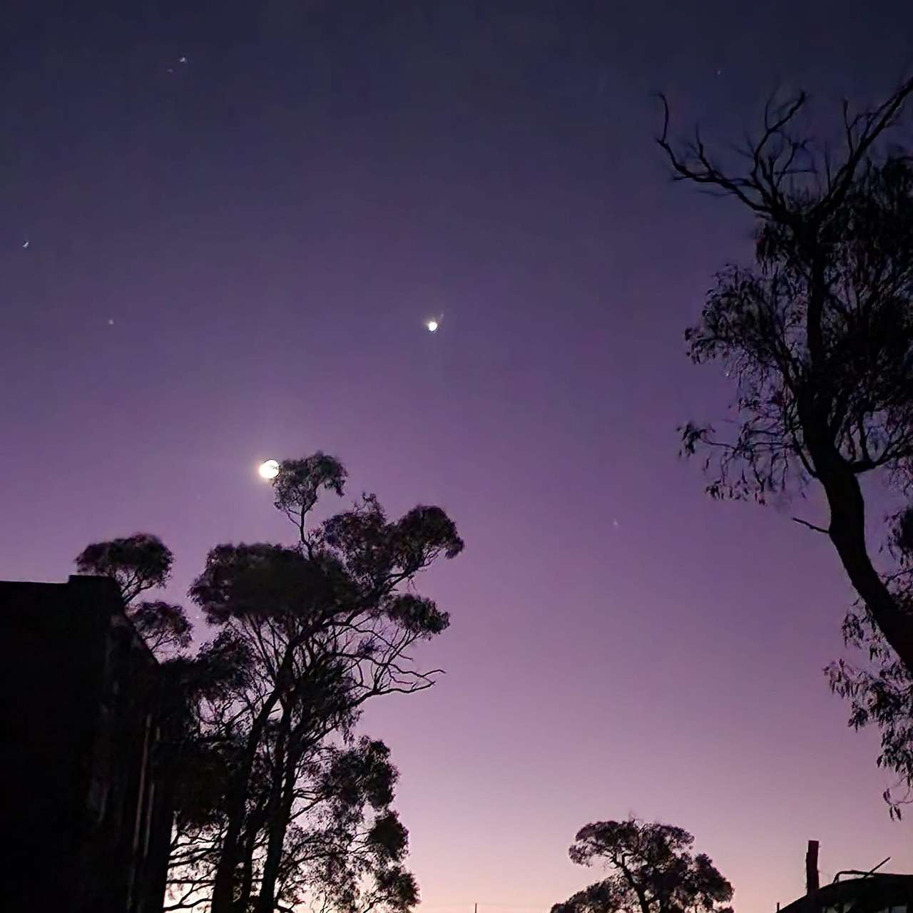 Grampians Stringybark Camp