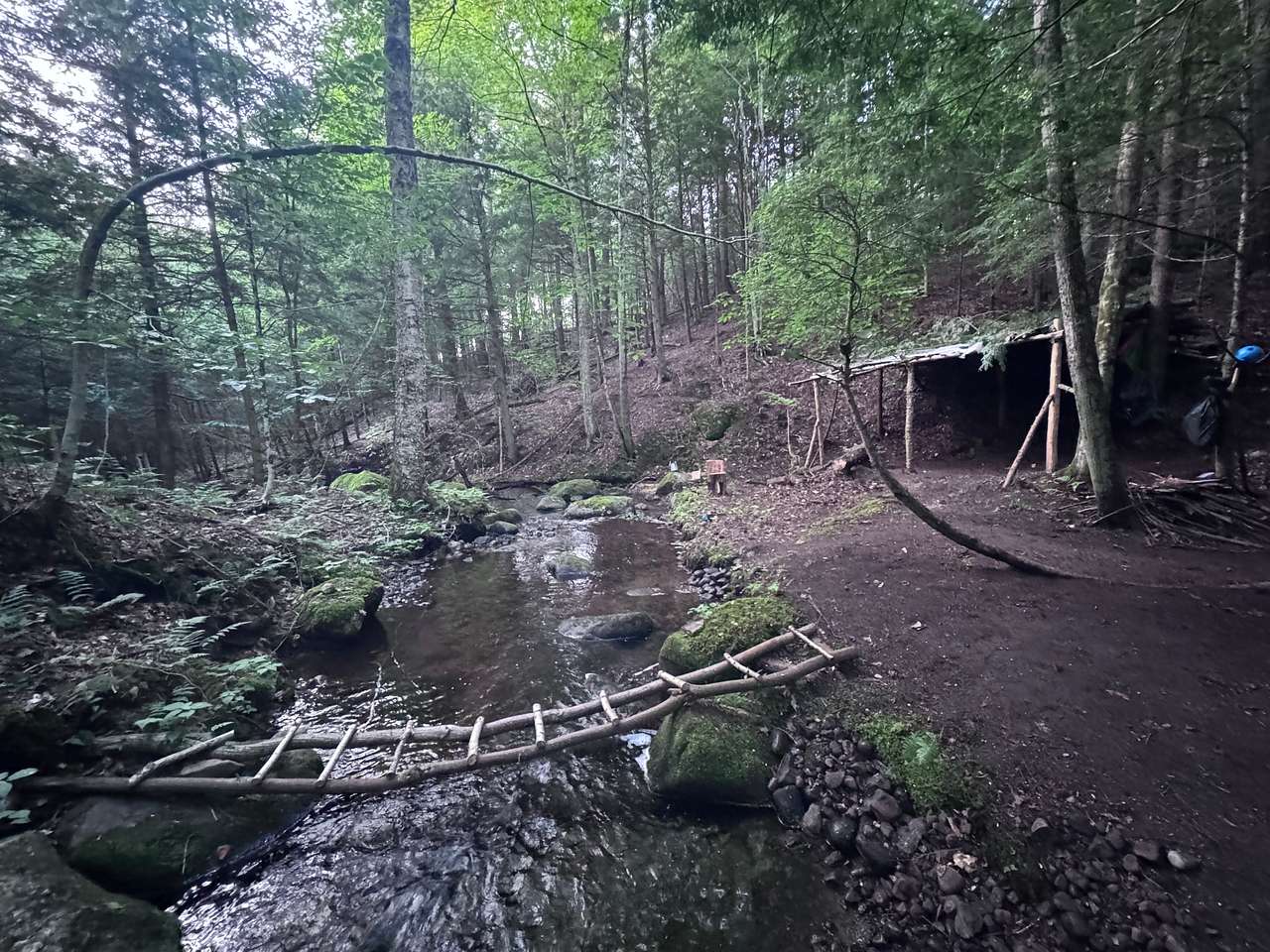 Moss & Stone Creek