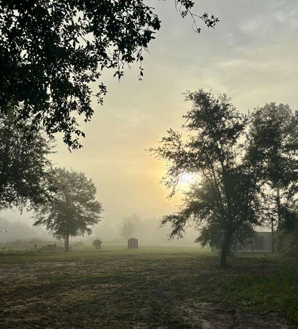 Foggy morning in early September