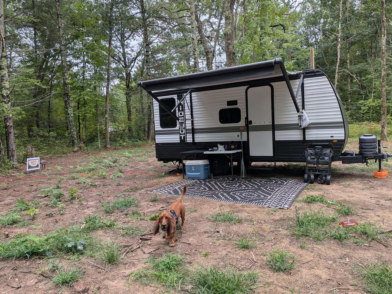 Idlewild Honeycomb Hideaway