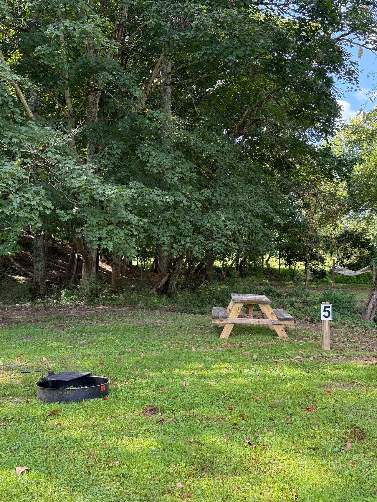 Carter Farm Cabins & Campground