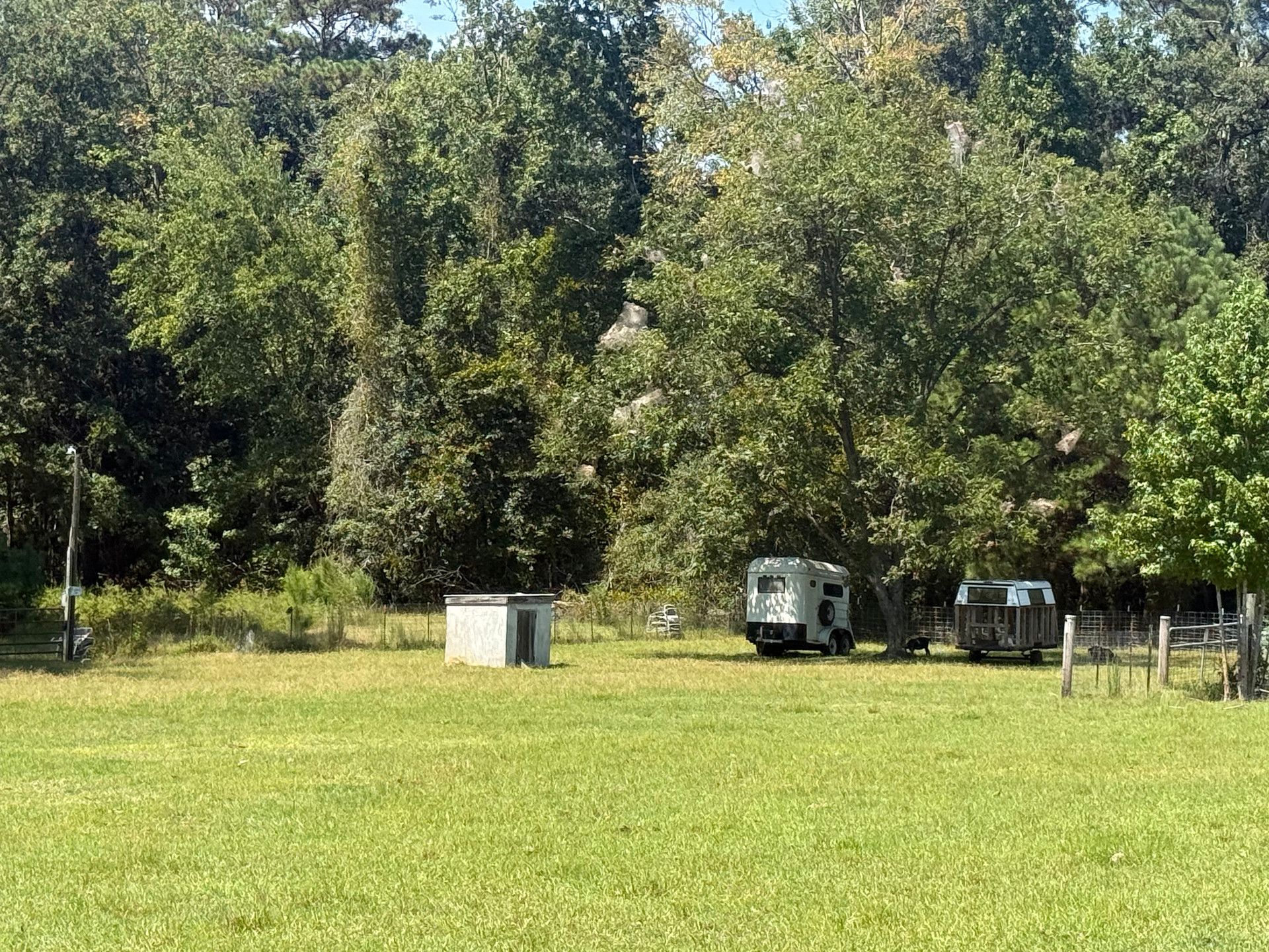MeloDee’s Farm