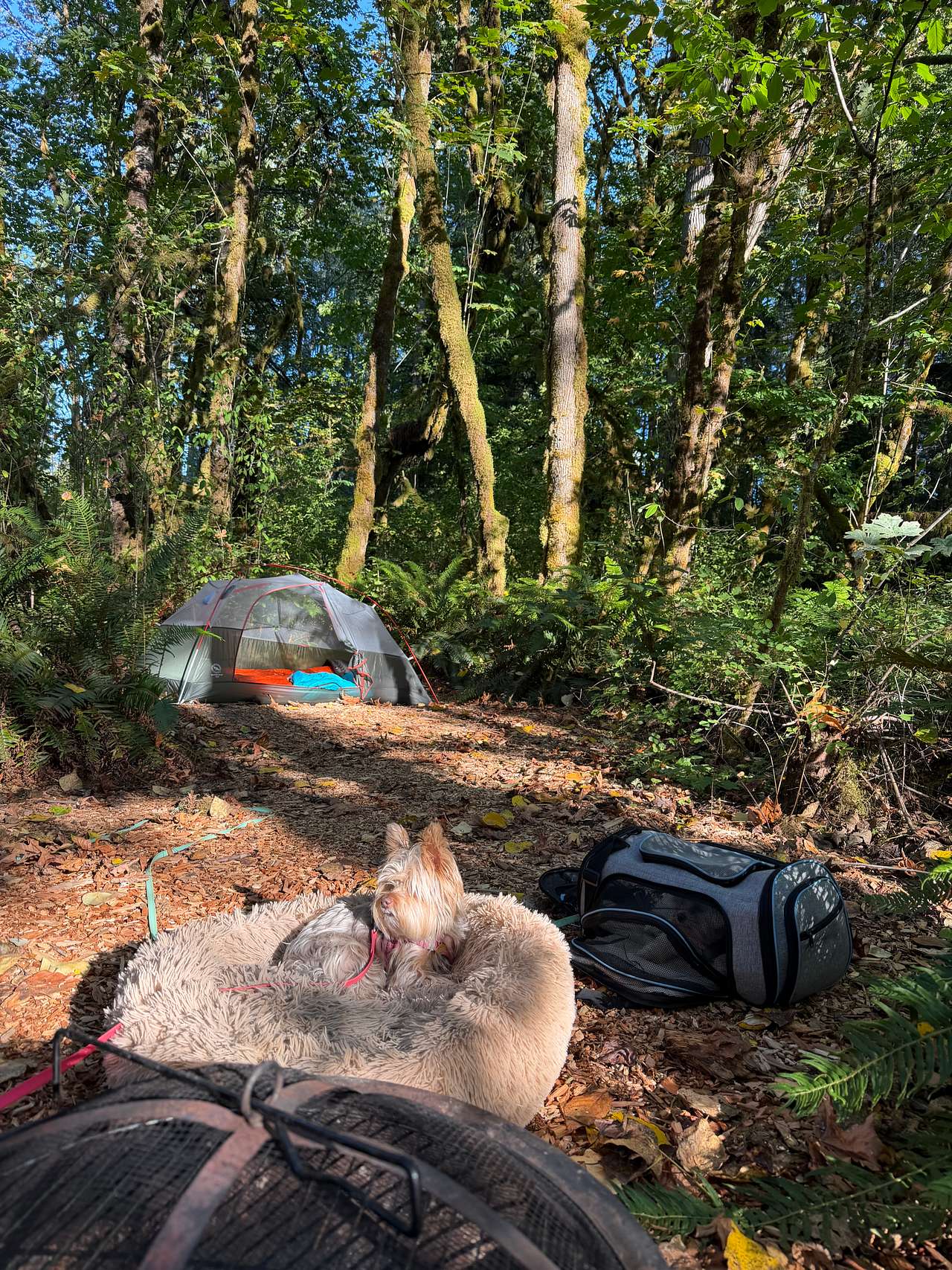 Nature Escape  (on the River) 18+