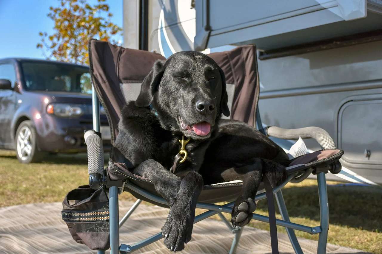 Wild Rose RV Park