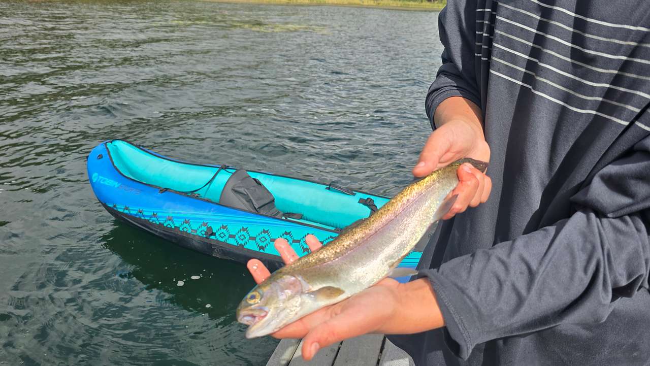 Catch and release was a good day🎣🐟