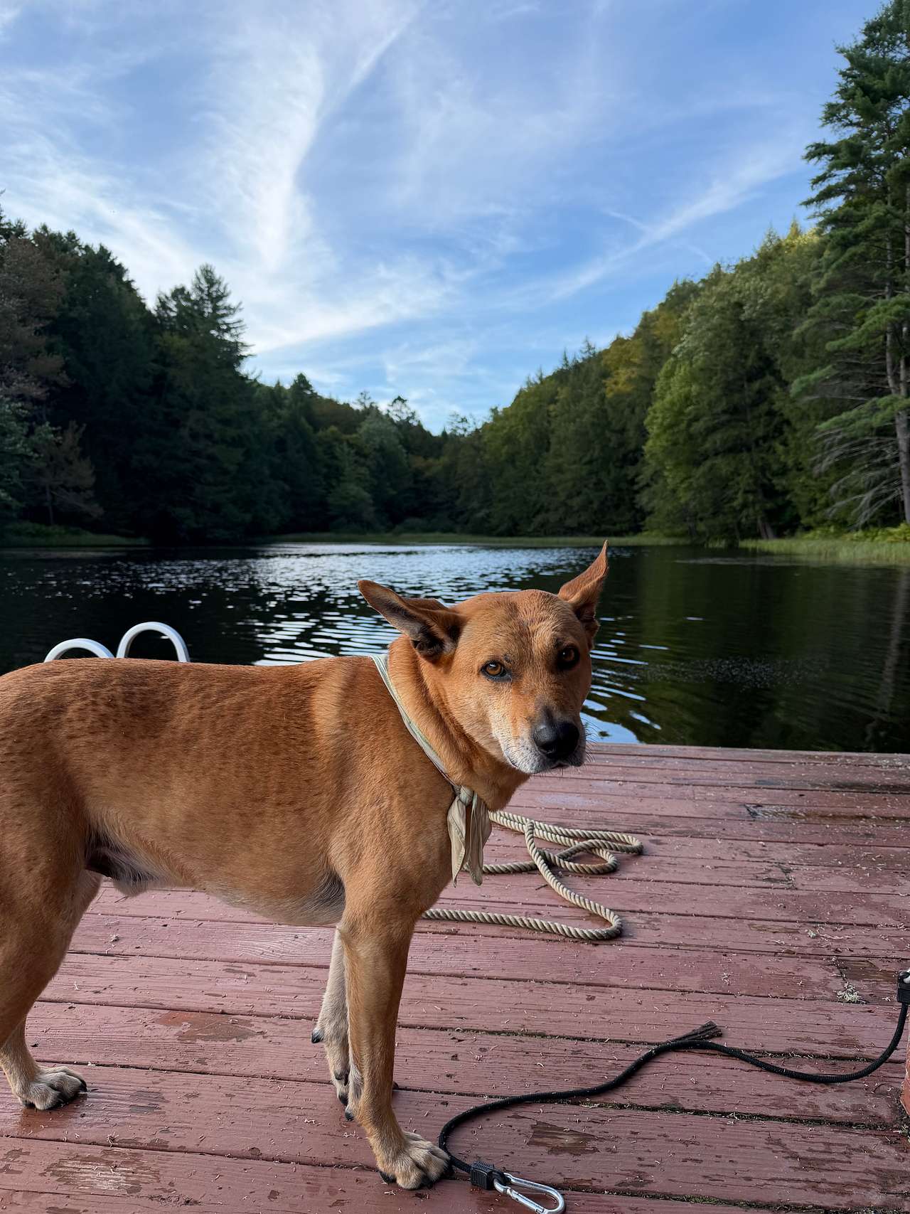 Mags Mountain