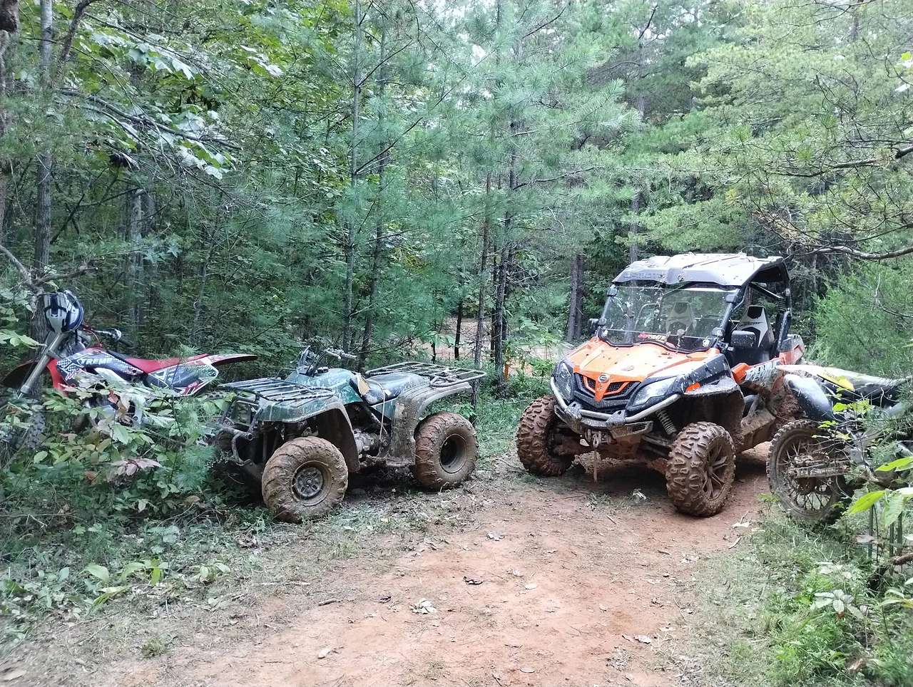 Horsepower Park