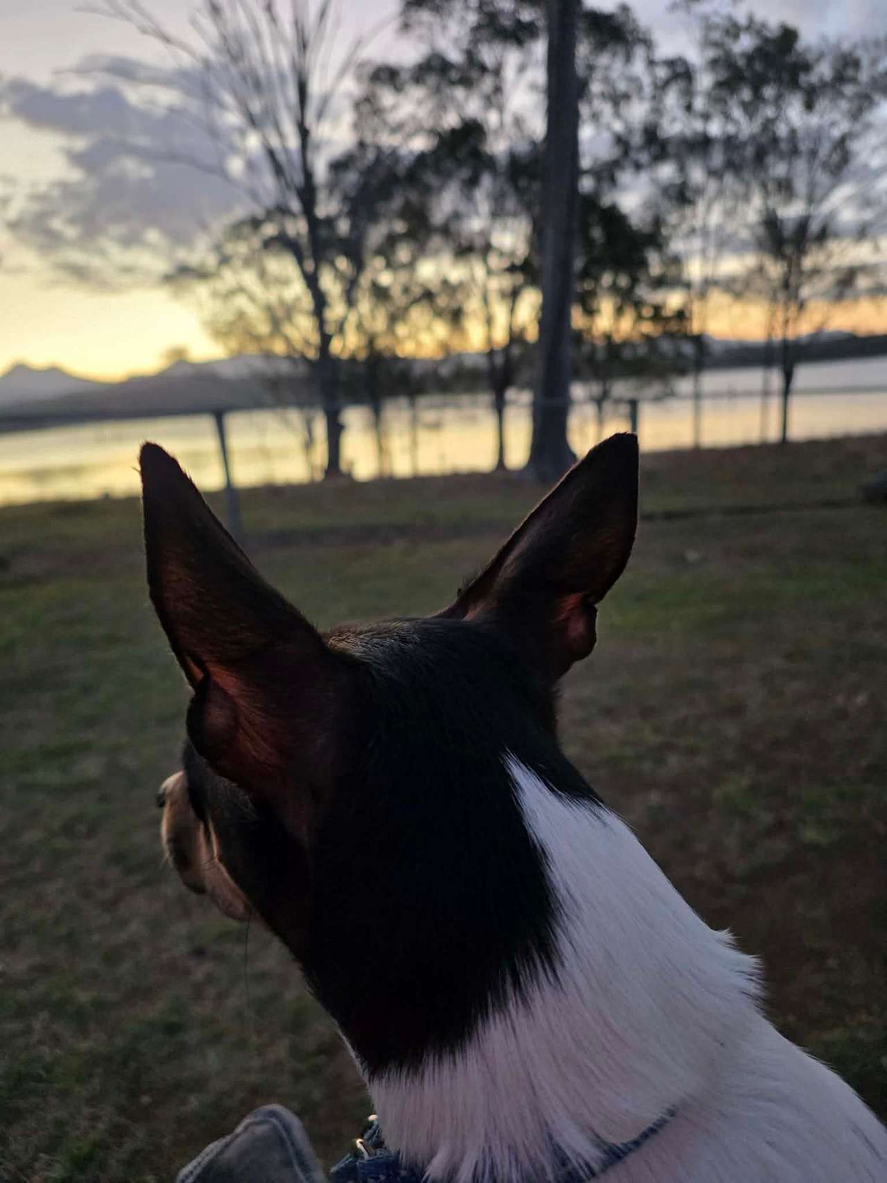 Moogerah Valley Homestead