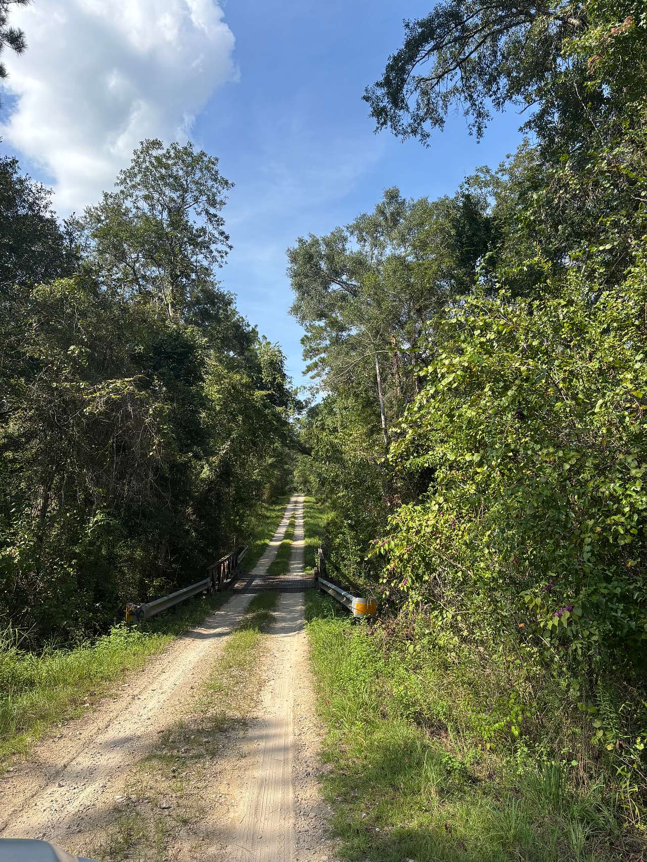 Rainey’s Roost