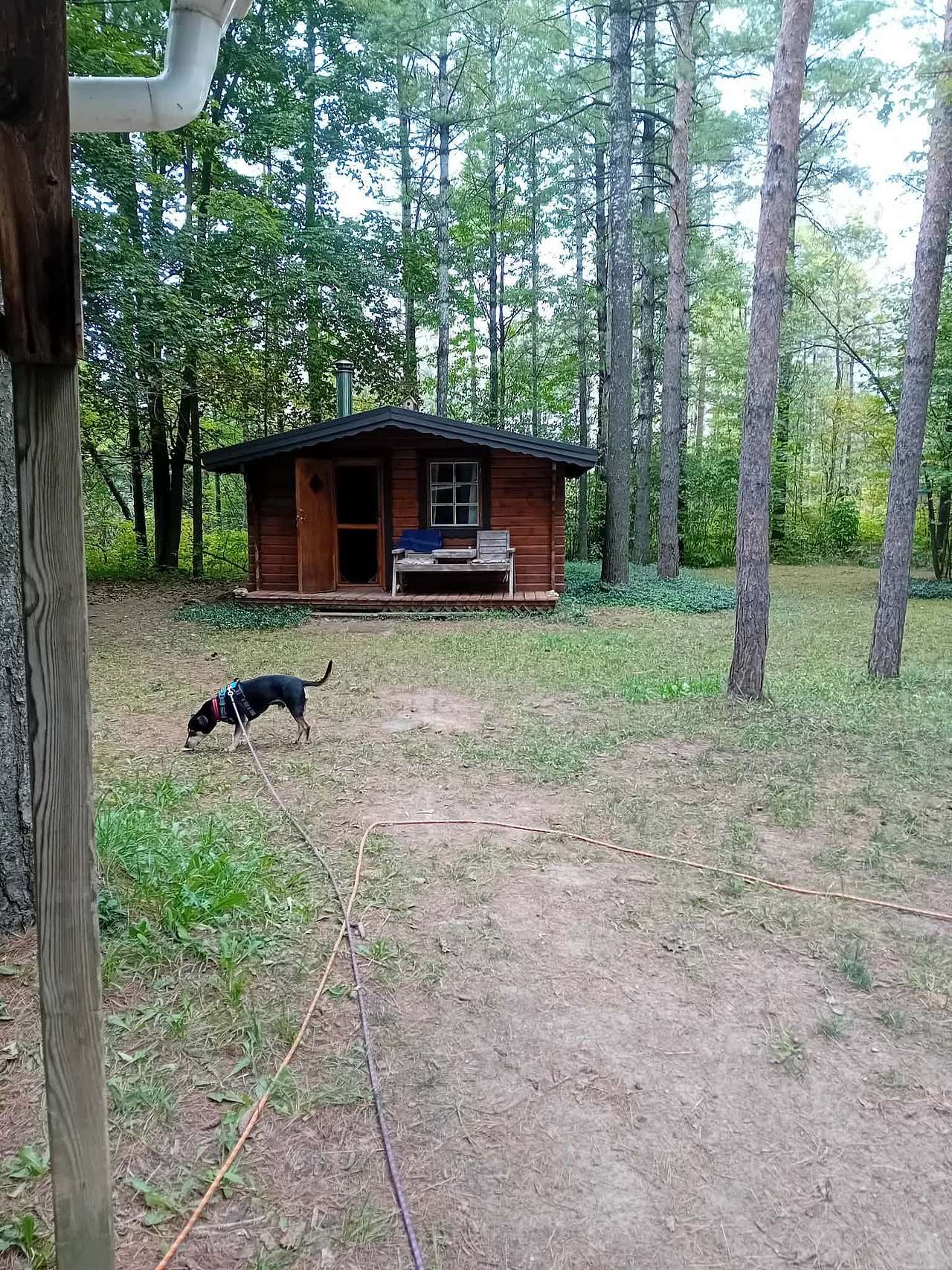Raven Hollow - Woodland Retreat