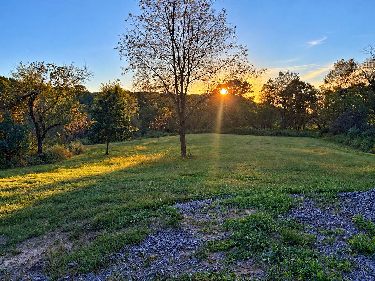 Little Meadow Camp