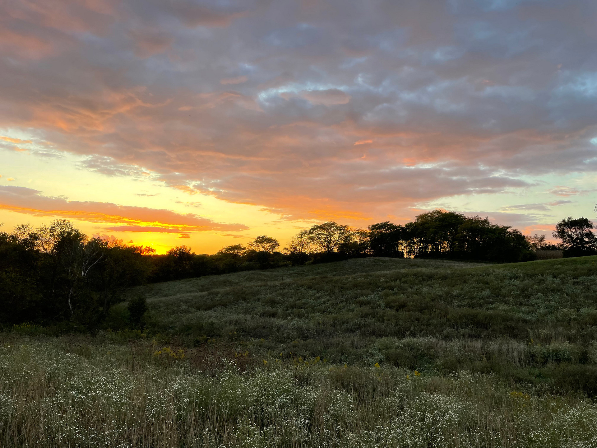 Morris Acres Campground