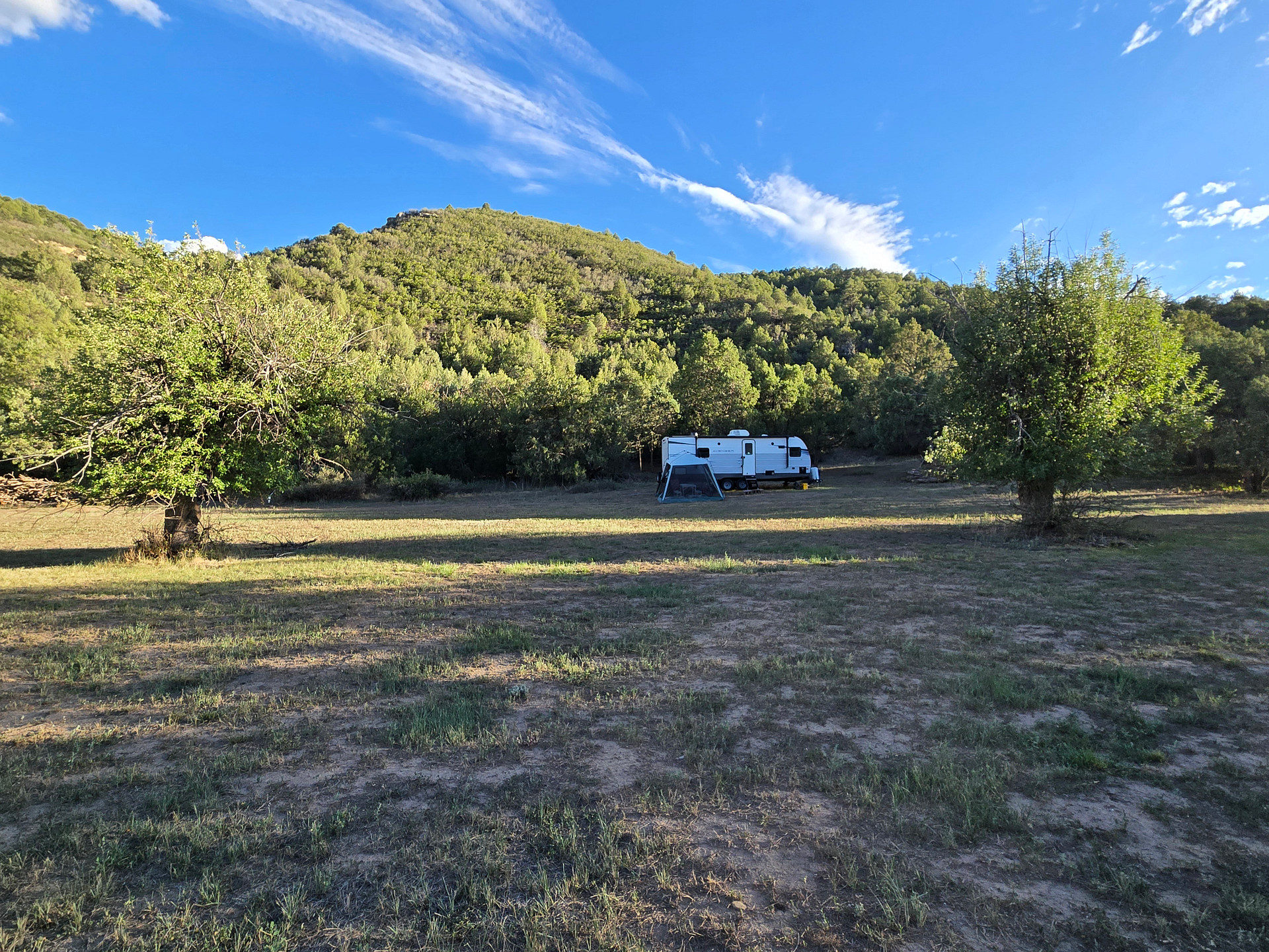 Canyon in the stars