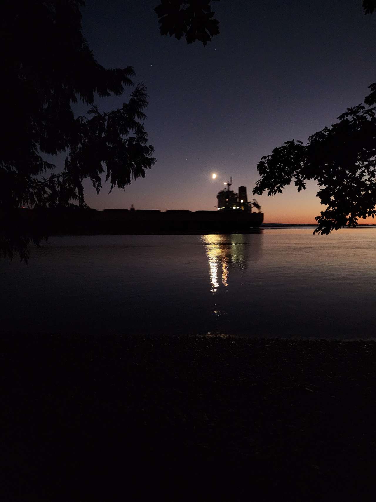 A photo I took while stranded halfway to the hipcamp after finding out the path throgh the woods does NOT go all the way to the hip camp. Decided to wait until low tide at 1am and keep trekking. The big ships make the waves act crazy btw.