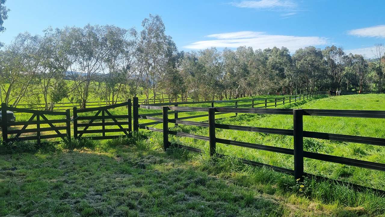 Northern Lodge Thoroughbreds