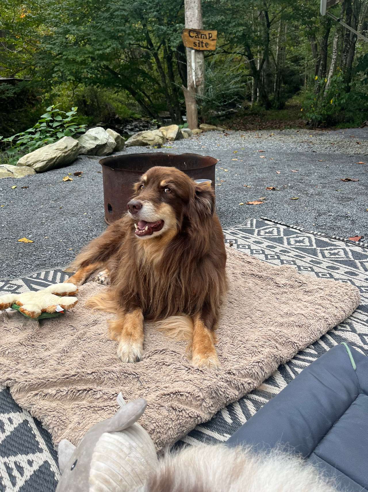 Creekside Boondocking