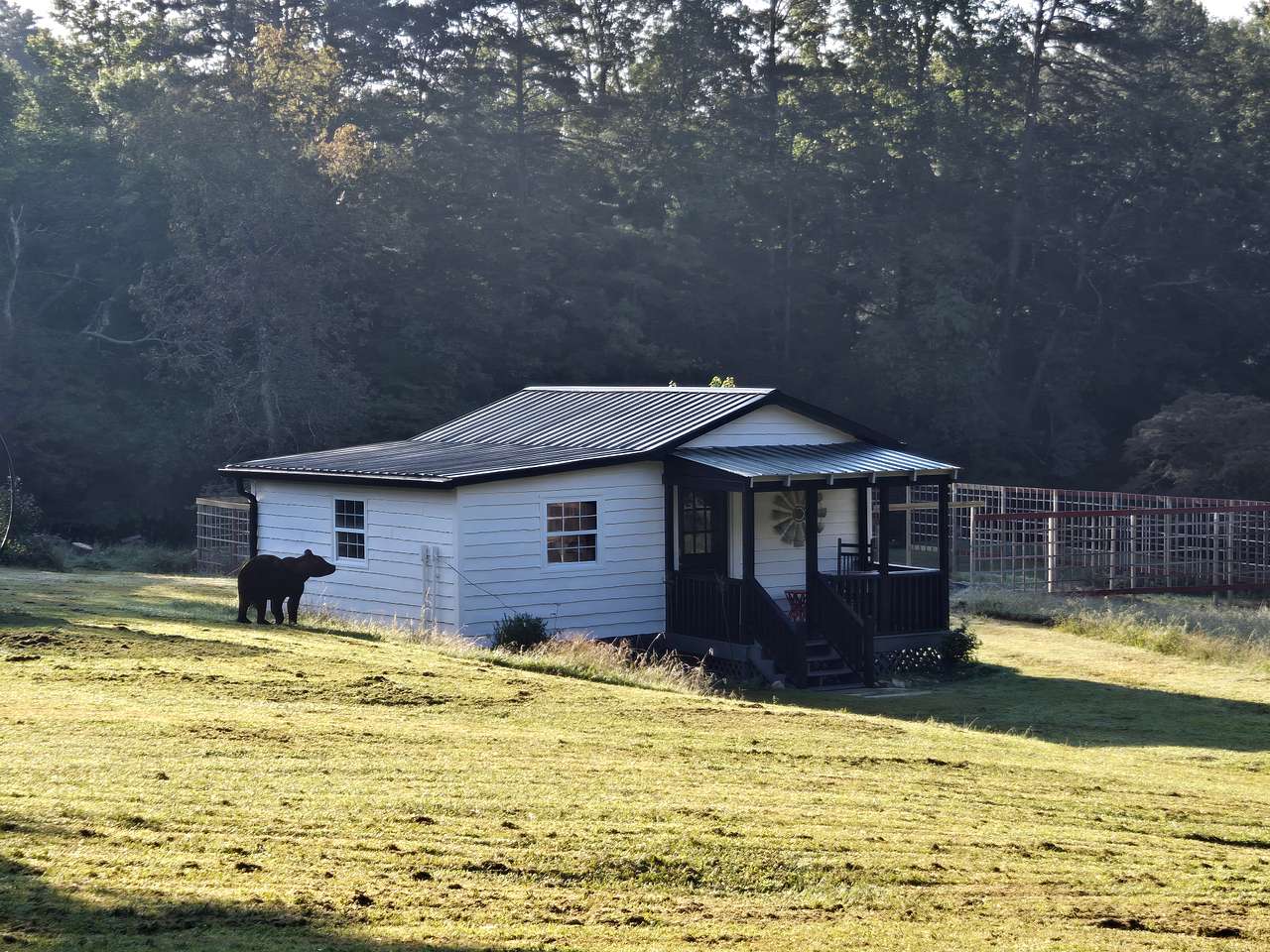 Hunt Mountain Farm