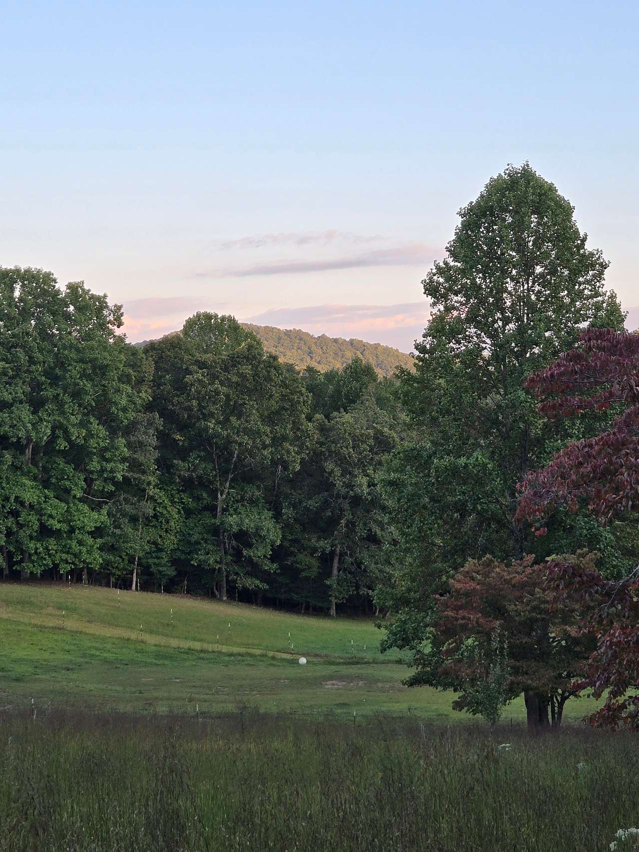 Hunt Mountain Farm