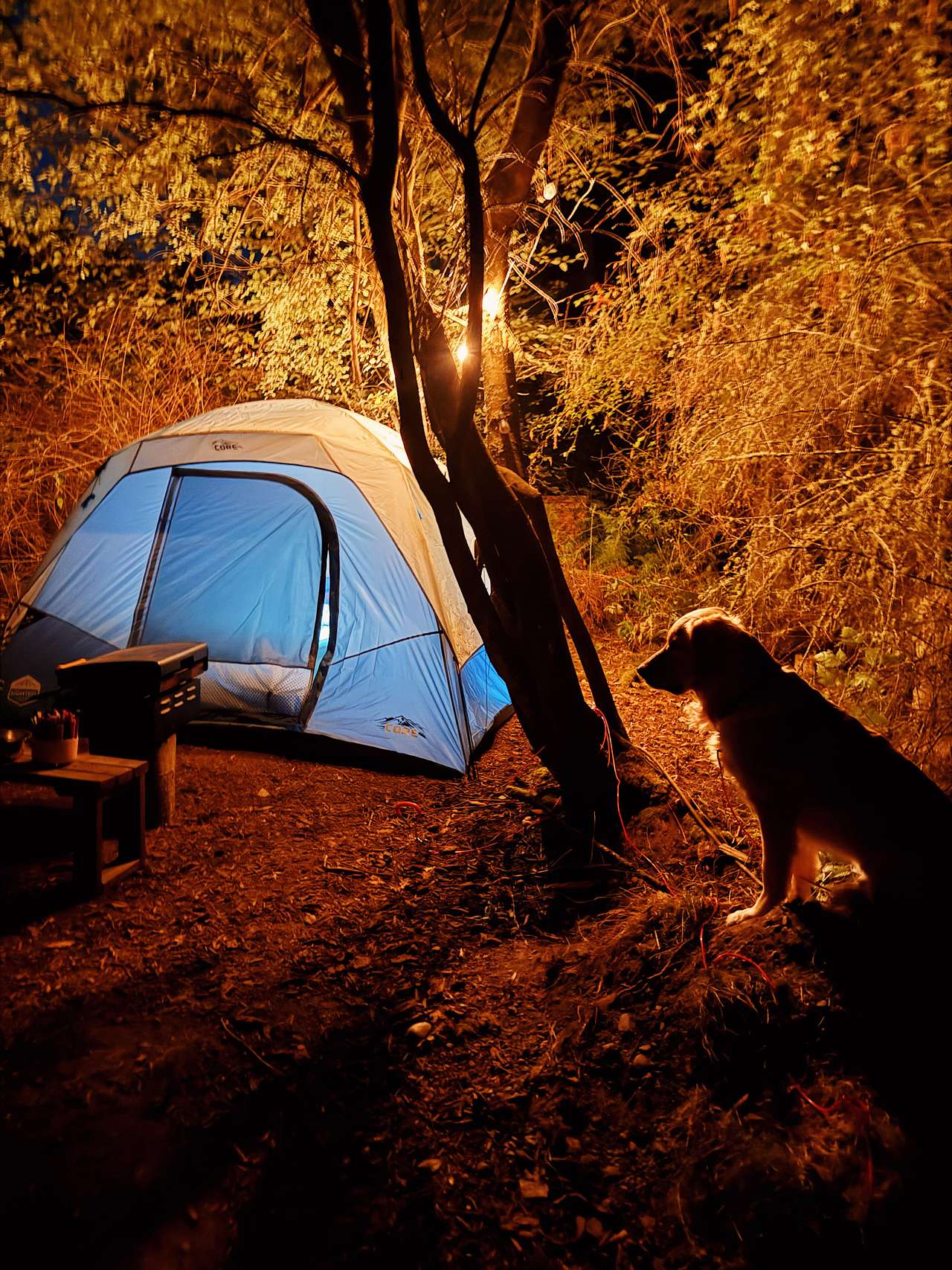 Hoypus Point Camp