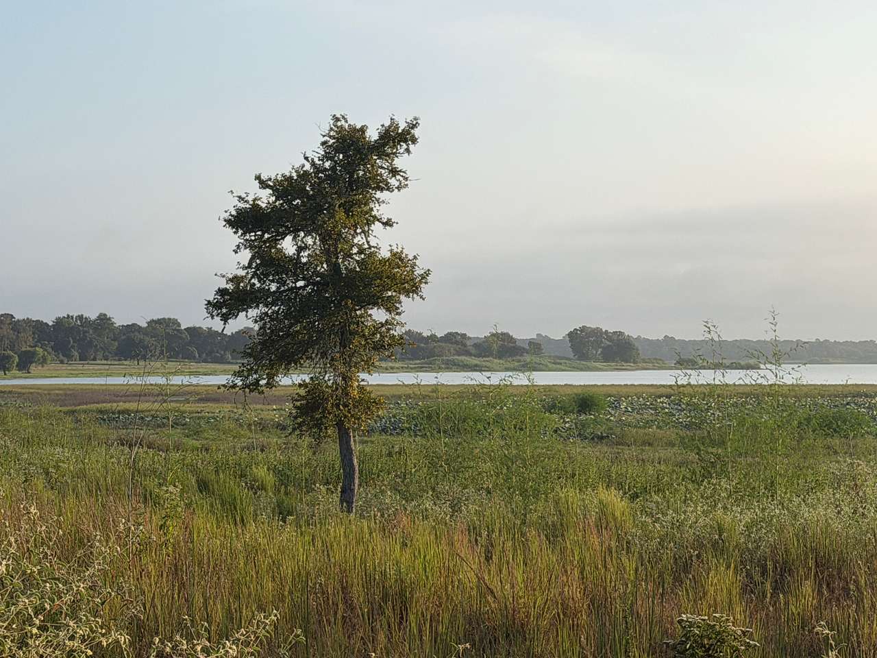 Lake Somerville Nails Creek Unit Campground