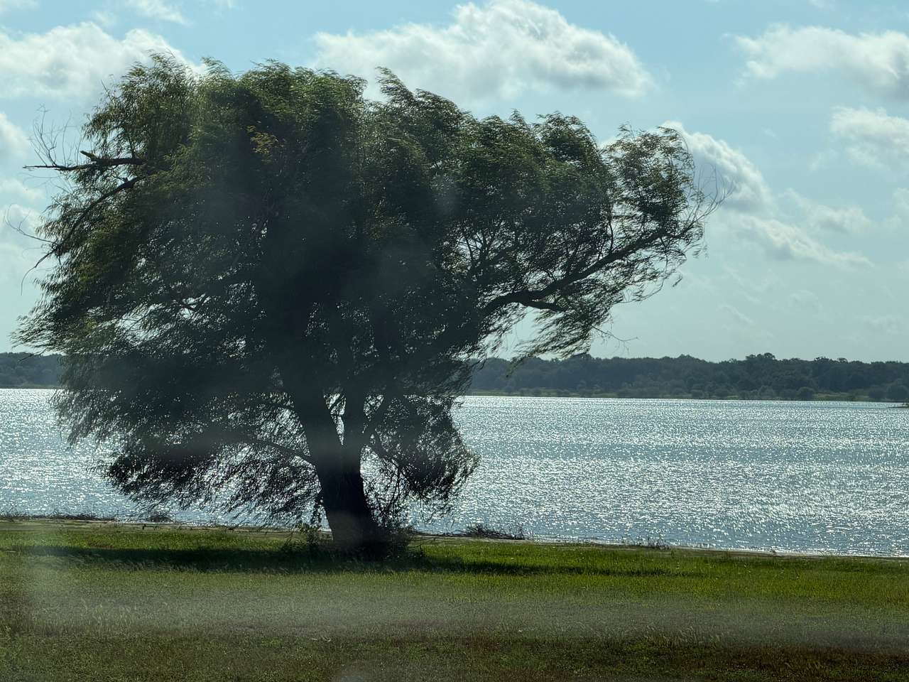 Lake Somerville State Park