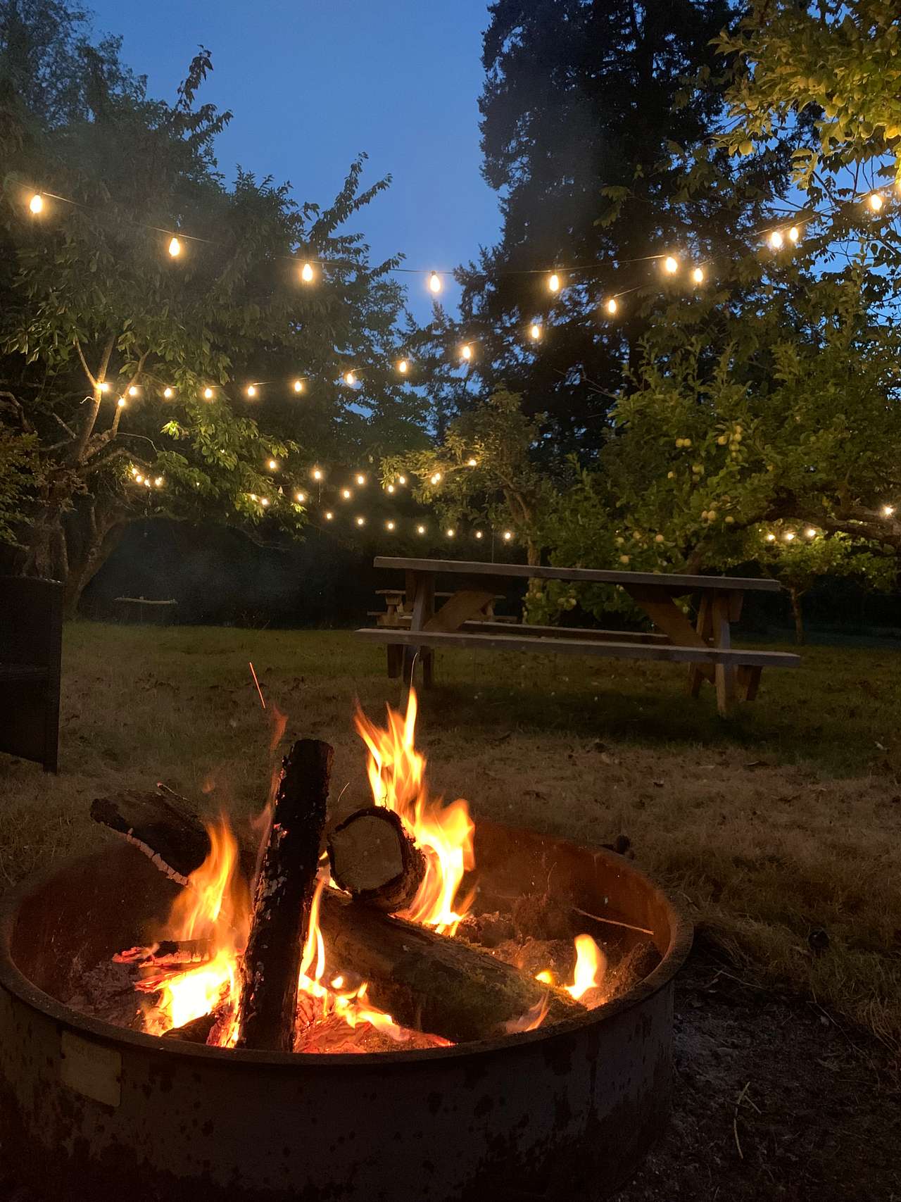 Orchard Camping