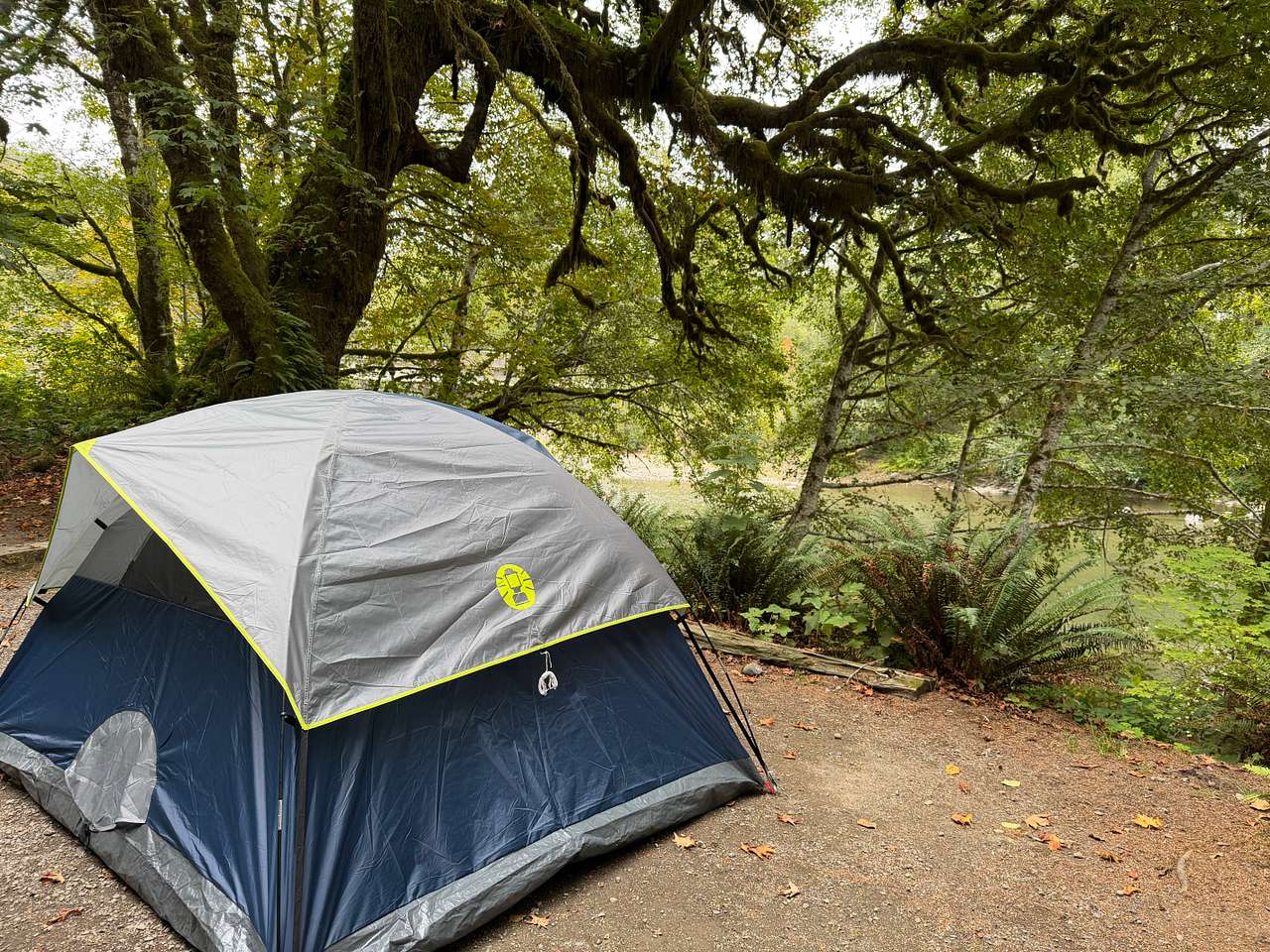 Site 38