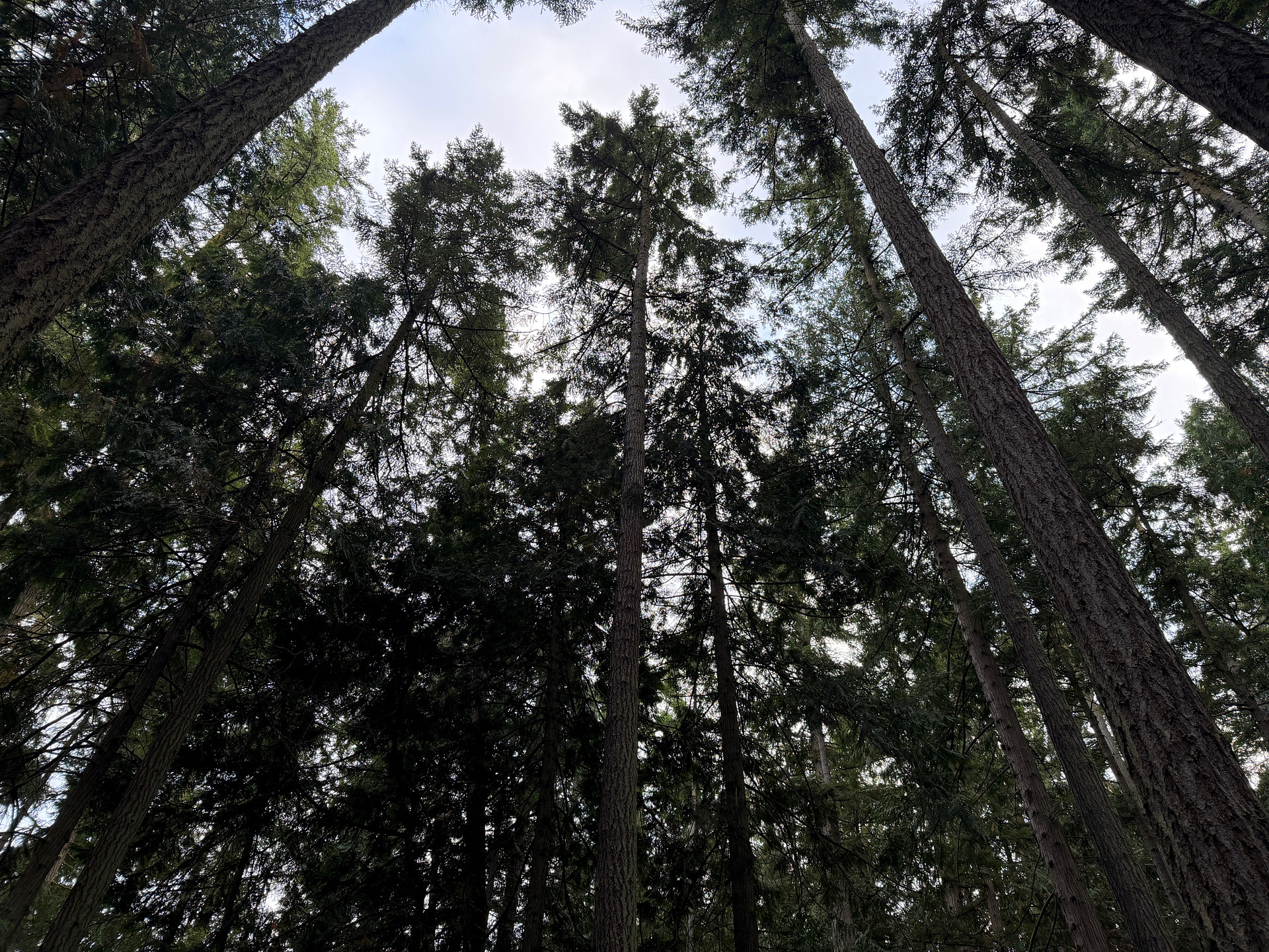 Fort Townsend Campground