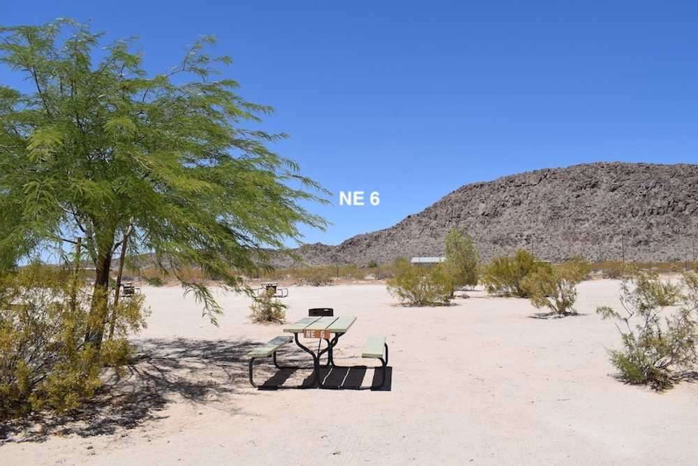 Joshua Tree Lake RV and Campground - Joshua Tree, CA