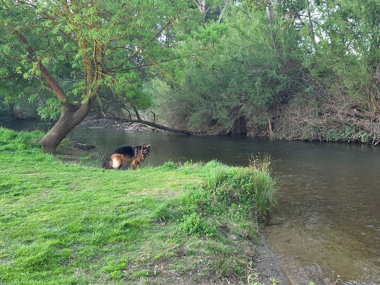 Micks Campsite