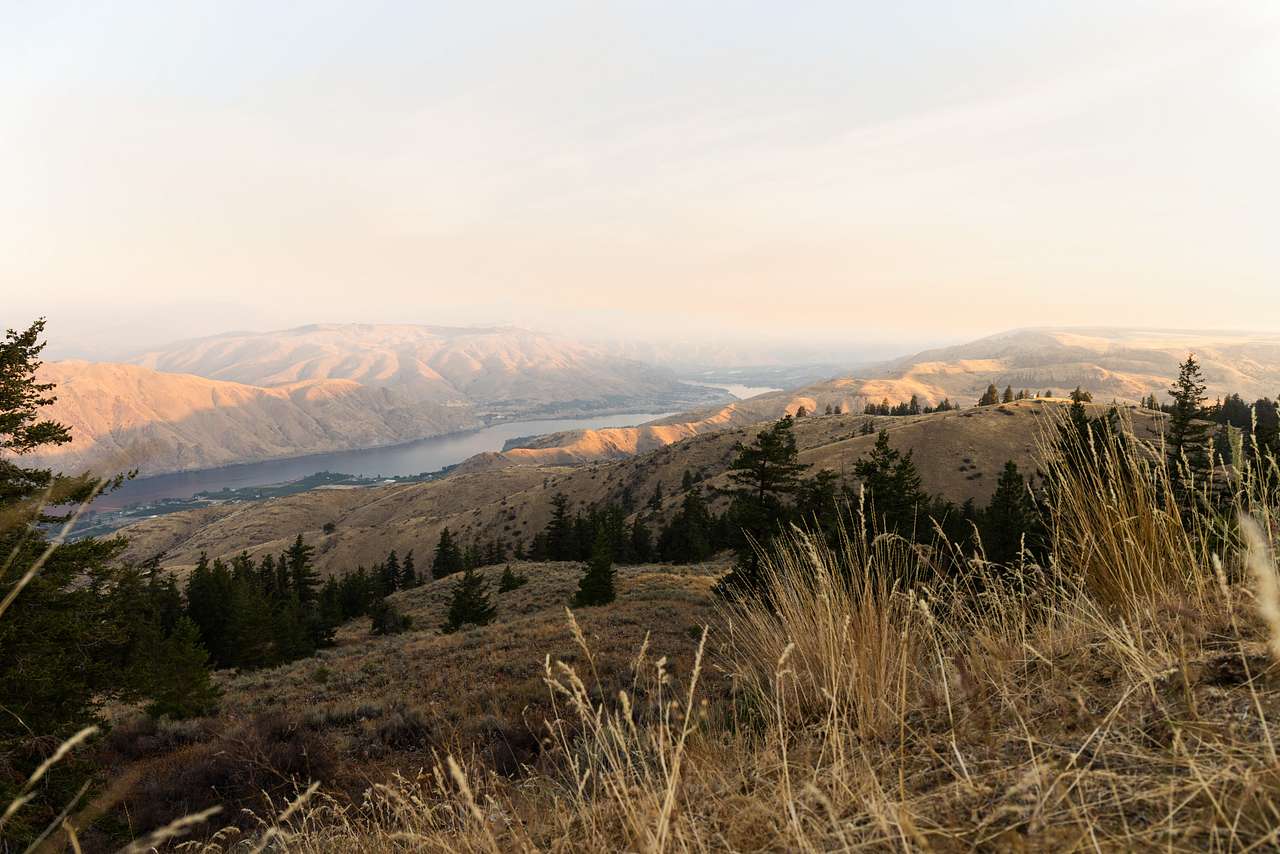 Views right from the site