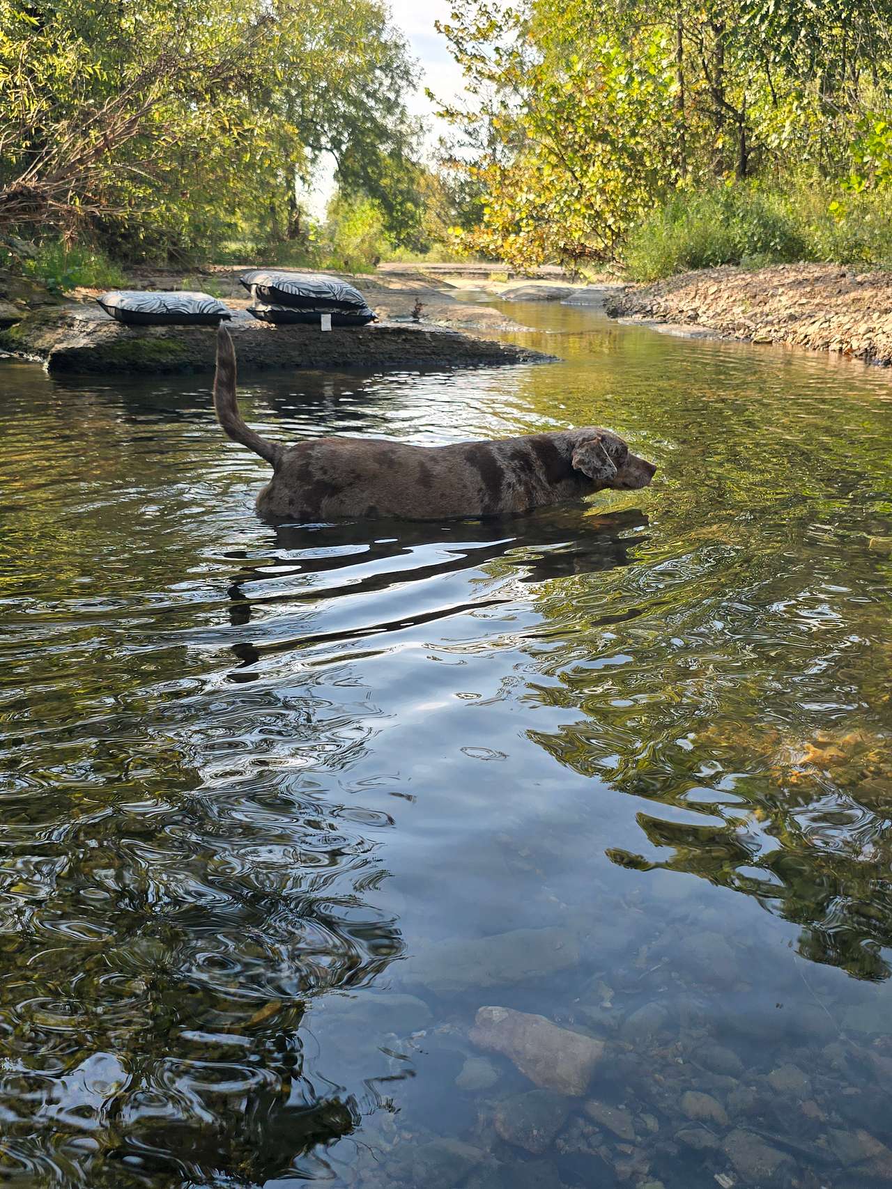 The Banks of Blue Creek